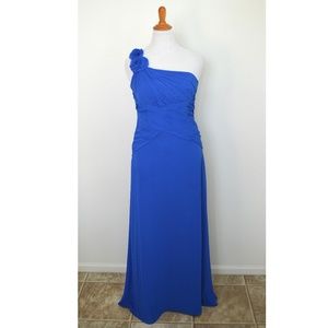 David's Bridal HORIZON F14010 Chiffon Long Dress